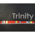 Trinity School, Newbury